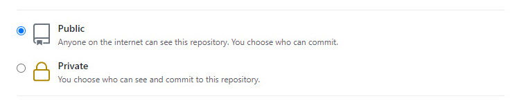 Options to set your repository either public or private
